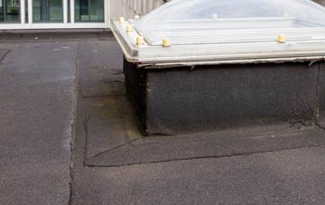 disadvantages of Trent Vale flat roofs